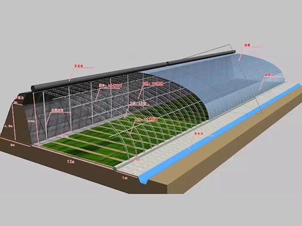 冬暖式温室大棚